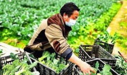 农民廖先生最新爆料